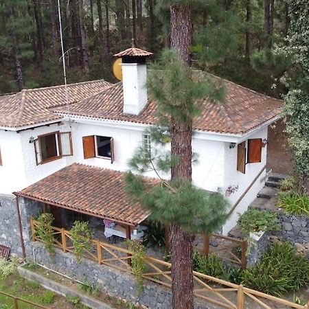 Villa Floral Garden House Icod De Los Vinos Exterior foto