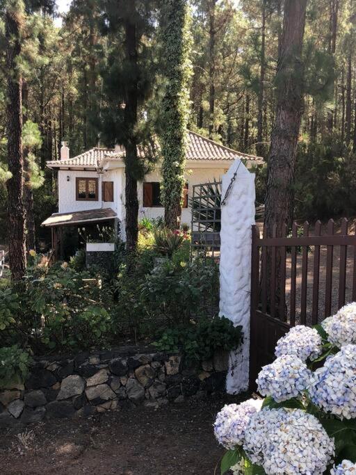 Villa Floral Garden House Icod De Los Vinos Exterior foto