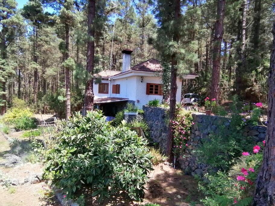 Villa Floral Garden House Icod De Los Vinos Exterior foto
