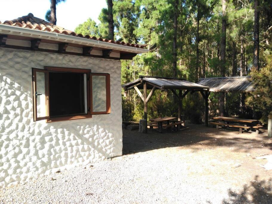 Villa Floral Garden House Icod De Los Vinos Exterior foto